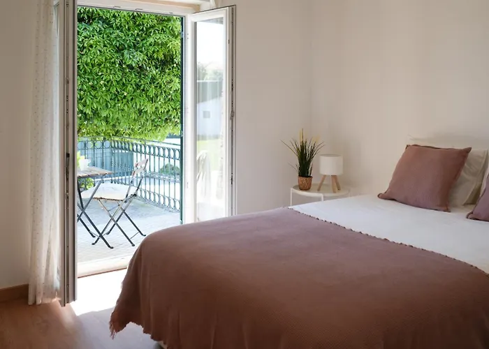 Zefiro * إيريسييرا